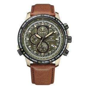Citizen Promaster (AT8194-11X)