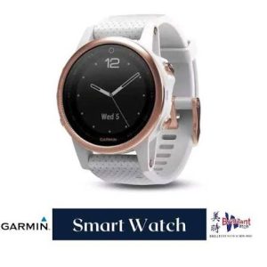 GARMIN fēnix® 5S Smartwatch 010-01685-48